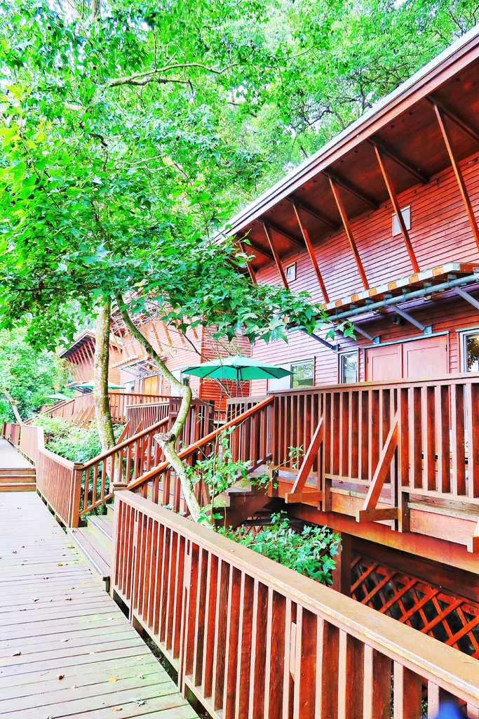 【南投鹿谷住宿】蟬說鳳凰亭序,獨棟小木屋眺望遠方山景,來場森林系輕旅行! @混血珊莎的奇幻旅程 【南投鹿谷住宿】蟬說鳳凰亭序,獨棟小木屋眺望遠方山景,來場森林系輕旅行! @混血珊莎的奇幻旅程