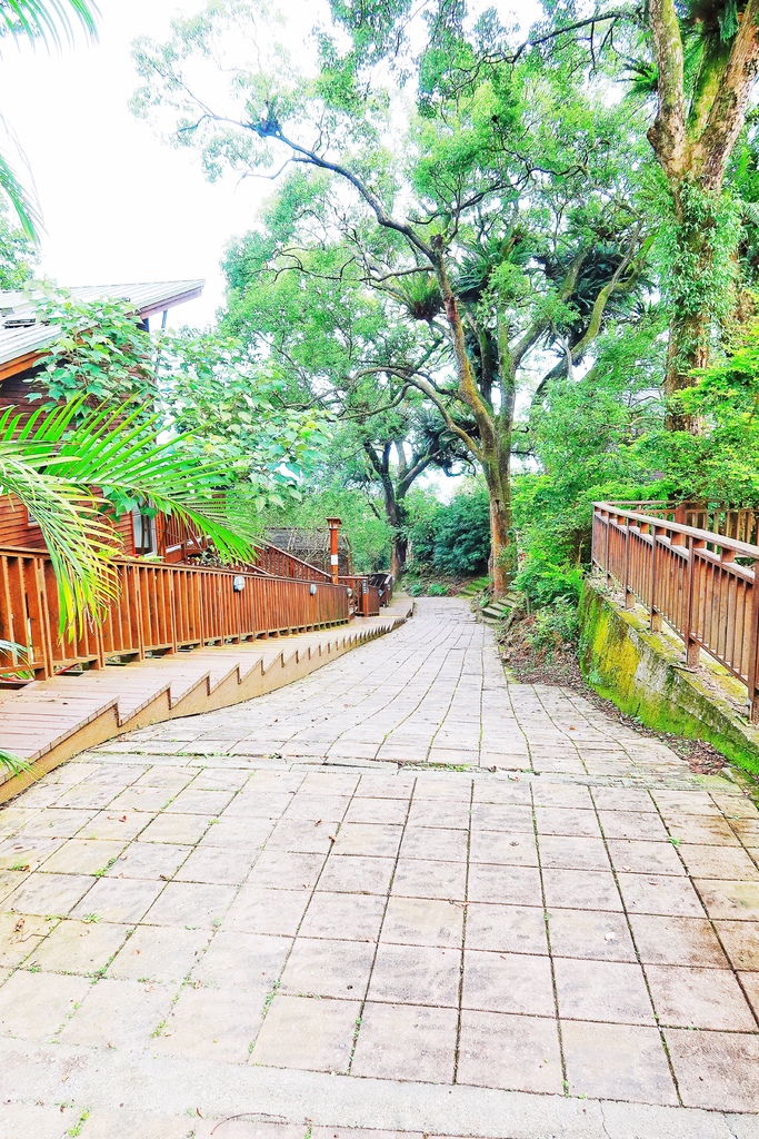 【南投鹿谷住宿】蟬說鳳凰亭序,獨棟小木屋眺望遠方山景,來場森林系輕旅行! @混血珊莎的奇幻旅程 【南投鹿谷住宿】蟬說鳳凰亭序,獨棟小木屋眺望遠方山景,來場森林系輕旅行! @混血珊莎的奇幻旅程