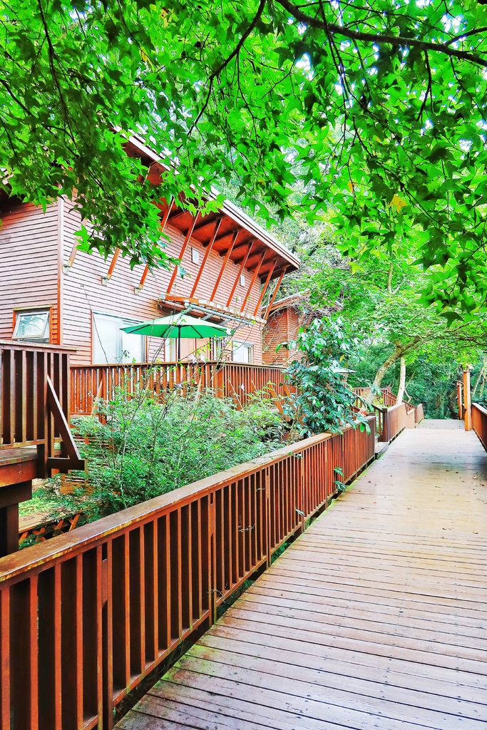 【南投鹿谷住宿】蟬說鳳凰亭序,獨棟小木屋眺望遠方山景,來場森林系輕旅行! @混血珊莎的奇幻旅程 【南投鹿谷住宿】蟬說鳳凰亭序,獨棟小木屋眺望遠方山景,來場森林系輕旅行! @混血珊莎的奇幻旅程