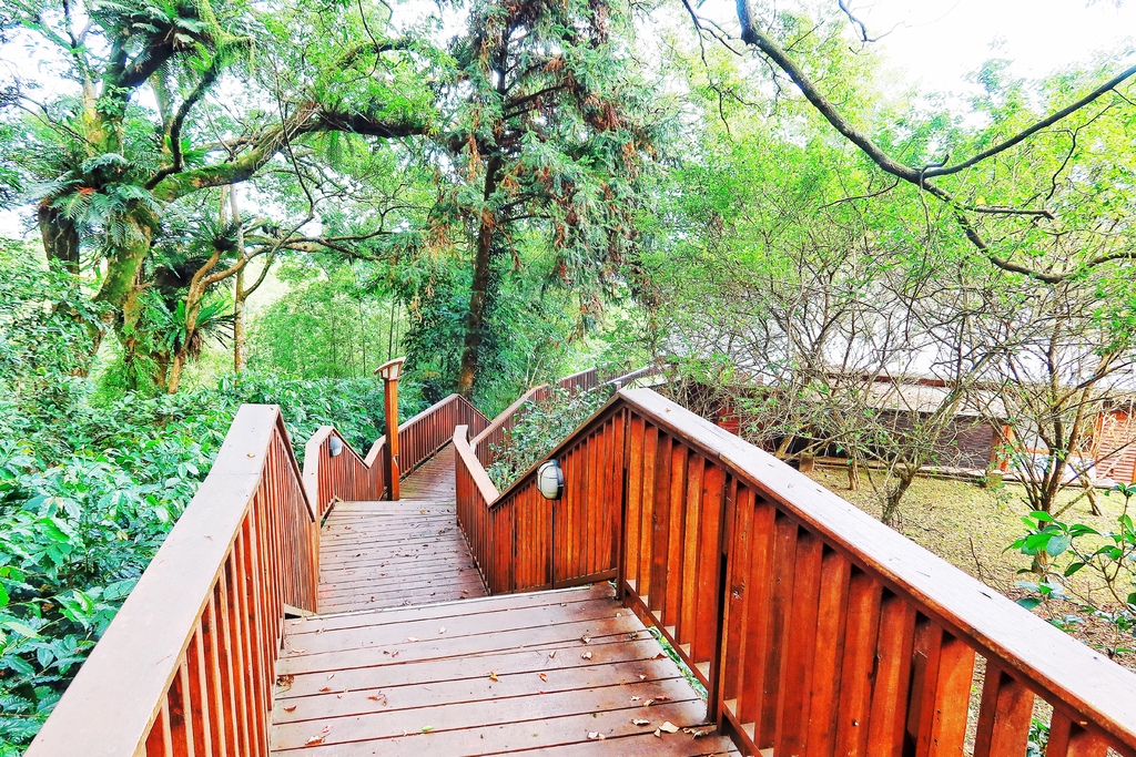 【南投鹿谷住宿】蟬說鳳凰亭序,獨棟小木屋眺望遠方山景,來場森林系輕旅行! @混血珊莎的奇幻旅程 【南投鹿谷住宿】蟬說鳳凰亭序,獨棟小木屋眺望遠方山景,來場森林系輕旅行! @混血珊莎的奇幻旅程