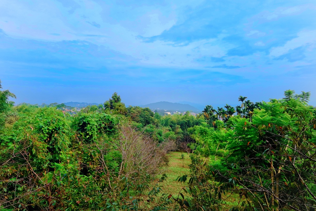 【南投鹿谷住宿】蟬說鳳凰亭序,獨棟小木屋眺望遠方山景,來場森林系輕旅行! @混血珊莎的奇幻旅程 【南投鹿谷住宿】蟬說鳳凰亭序,獨棟小木屋眺望遠方山景,來場森林系輕旅行! @混血珊莎的奇幻旅程