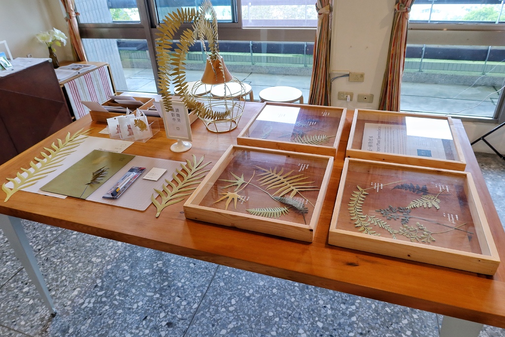 【南投鹿谷住宿】蟬說鳳凰亭序,獨棟小木屋眺望遠方山景,來場森林系輕旅行! @混血珊莎的奇幻旅程 【南投鹿谷住宿】蟬說鳳凰亭序,獨棟小木屋眺望遠方山景,來場森林系輕旅行! @混血珊莎的奇幻旅程