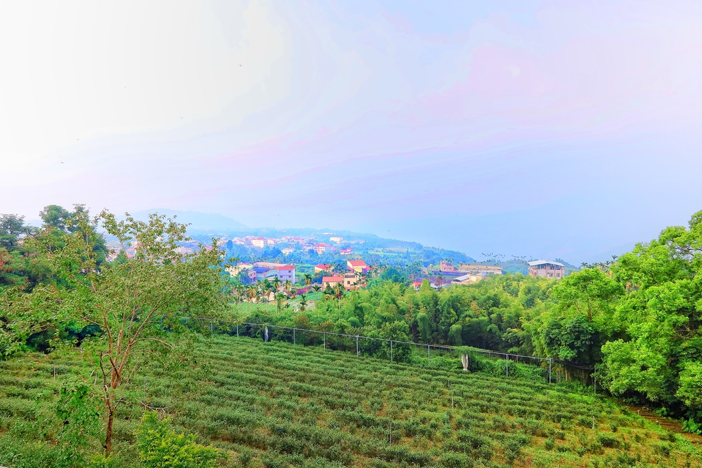 【南投鹿谷住宿】蟬說鳳凰亭序,獨棟小木屋眺望遠方山景,來場森林系輕旅行! @混血珊莎的奇幻旅程 【南投鹿谷住宿】蟬說鳳凰亭序,獨棟小木屋眺望遠方山景,來場森林系輕旅行! @混血珊莎的奇幻旅程