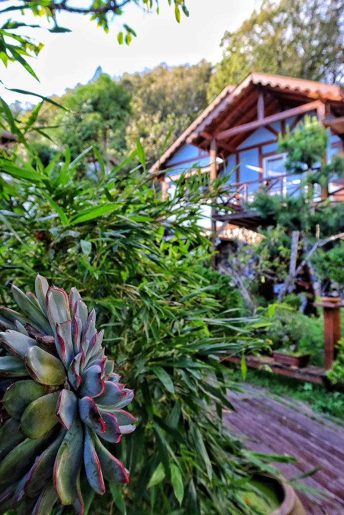 【清境民宿推薦】清境事外桃源渡假山莊民宿,鄉村系小木屋,綿延山景近收眼底! @混血珊莎的奇幻旅程 【清境民宿推薦】清境事外桃源渡假山莊民宿,鄉村系小木屋,綿延山景近收眼底! @混血珊莎的奇幻旅程