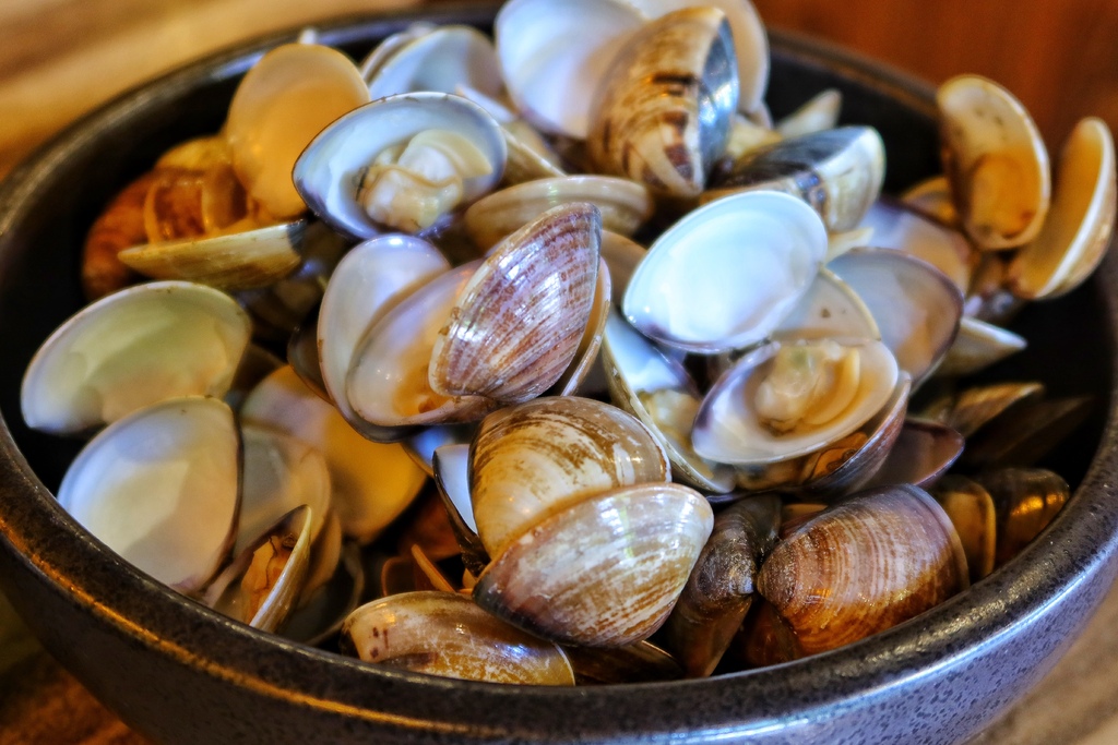 【民生社區火鍋推薦】極蜆鍋物,必吃爆量蛤蠣鍋,鮮味松露粥香濃誘人! @混血珊莎的奇幻旅程 【民生社區火鍋推薦】極蜆鍋物,必吃爆量蛤蠣鍋,鮮味松露粥香濃誘人! @混血珊莎的奇幻旅程