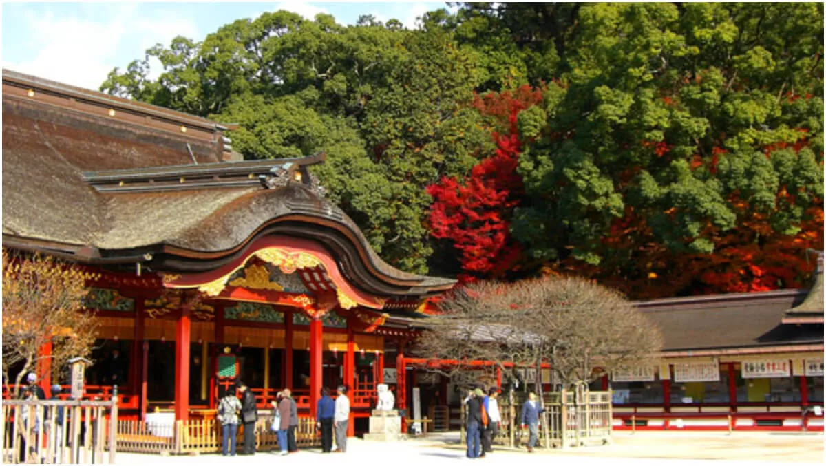 2025機票促銷怎麼買?超實用便宜機票比價技巧&機票訂購注意事項! @混血珊莎的奇幻旅程 2025機票促銷怎麼買?超實用便宜機票比價技巧&機票訂購注意事項! @混血珊莎的奇幻旅程