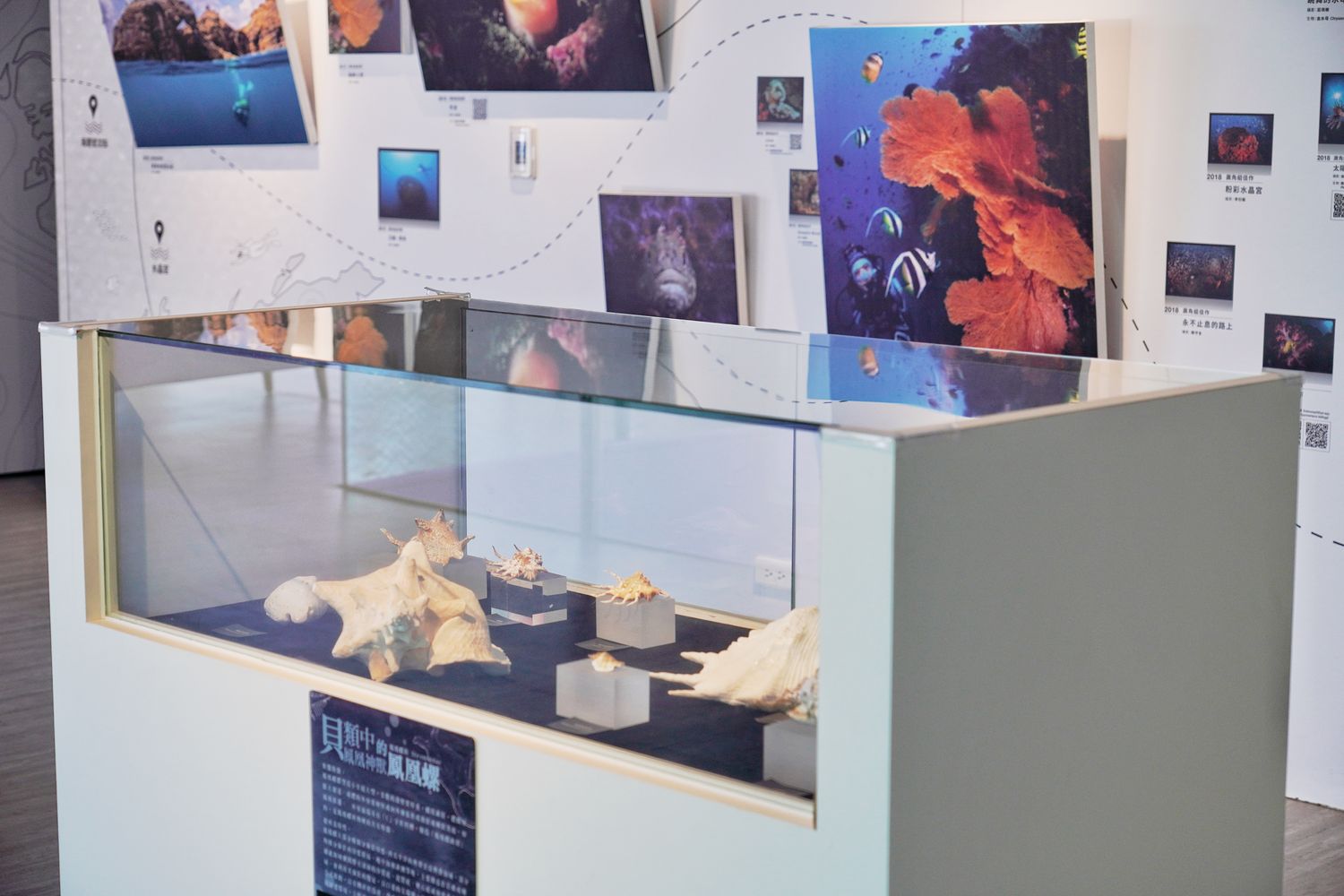 【基隆潮境智能海洋館】北部最強虛實整合實境水族館，四大展區搭配 5 G沉浸式體驗超好玩! @混血珊莎的奇幻旅程