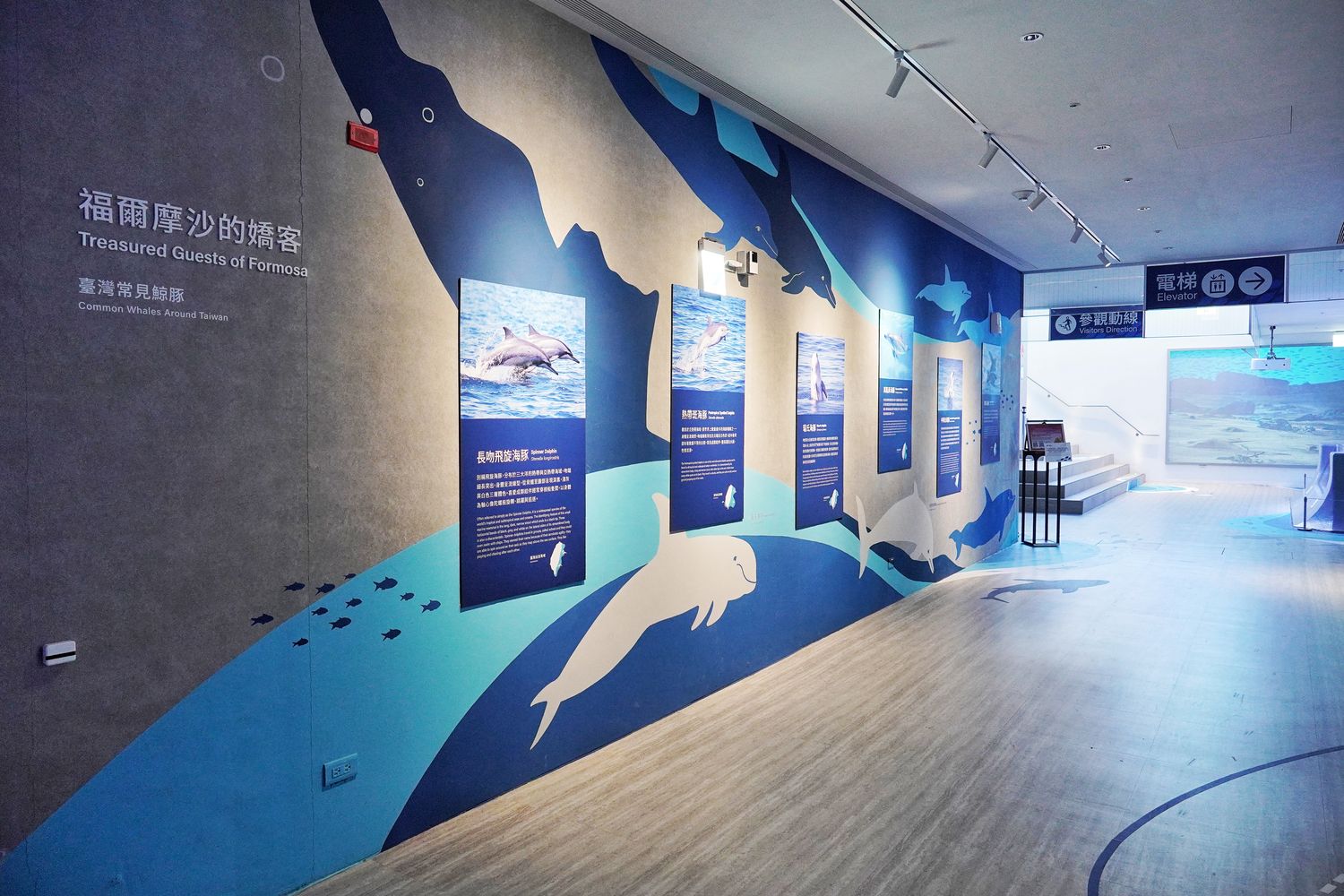 【基隆潮境智能海洋館】北部最強虛實整合實境水族館，四大展區搭配 5 G沉浸式體驗超好玩! @混血珊莎的奇幻旅程