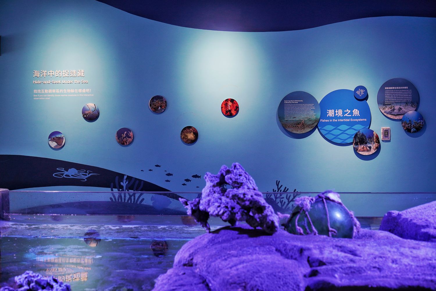 【基隆潮境智能海洋館】北部最強虛實整合實境水族館，四大展區搭配 5 G沉浸式體驗超好玩! @混血珊莎的奇幻旅程