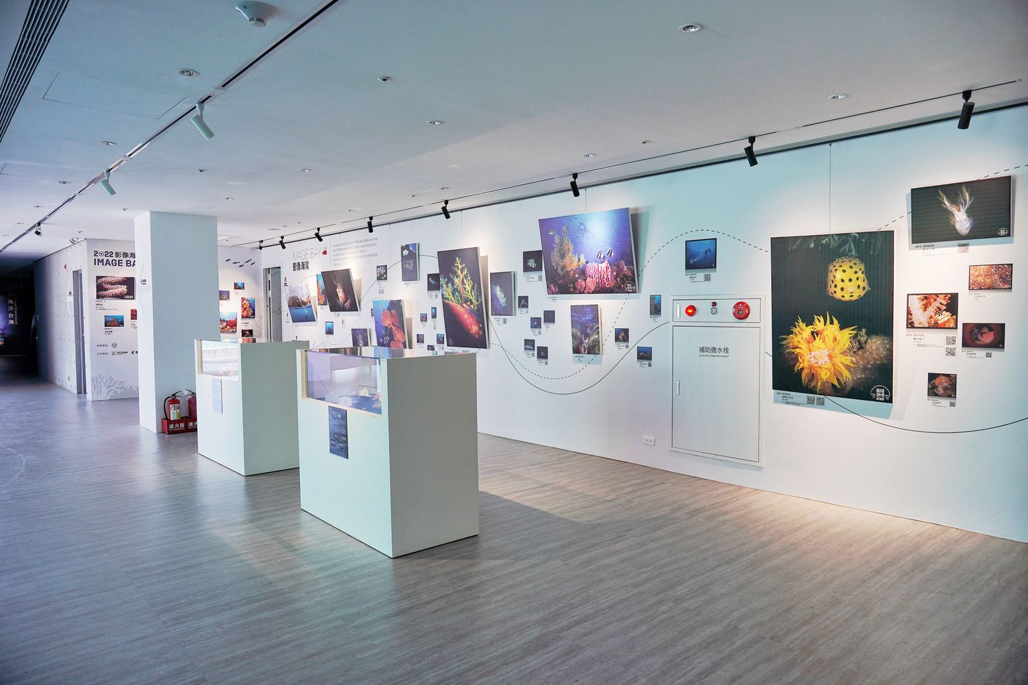 【基隆潮境智能海洋館】北部最強虛實整合實境水族館，四大展區搭配 5 G沉浸式體驗超好玩! @混血珊莎的奇幻旅程