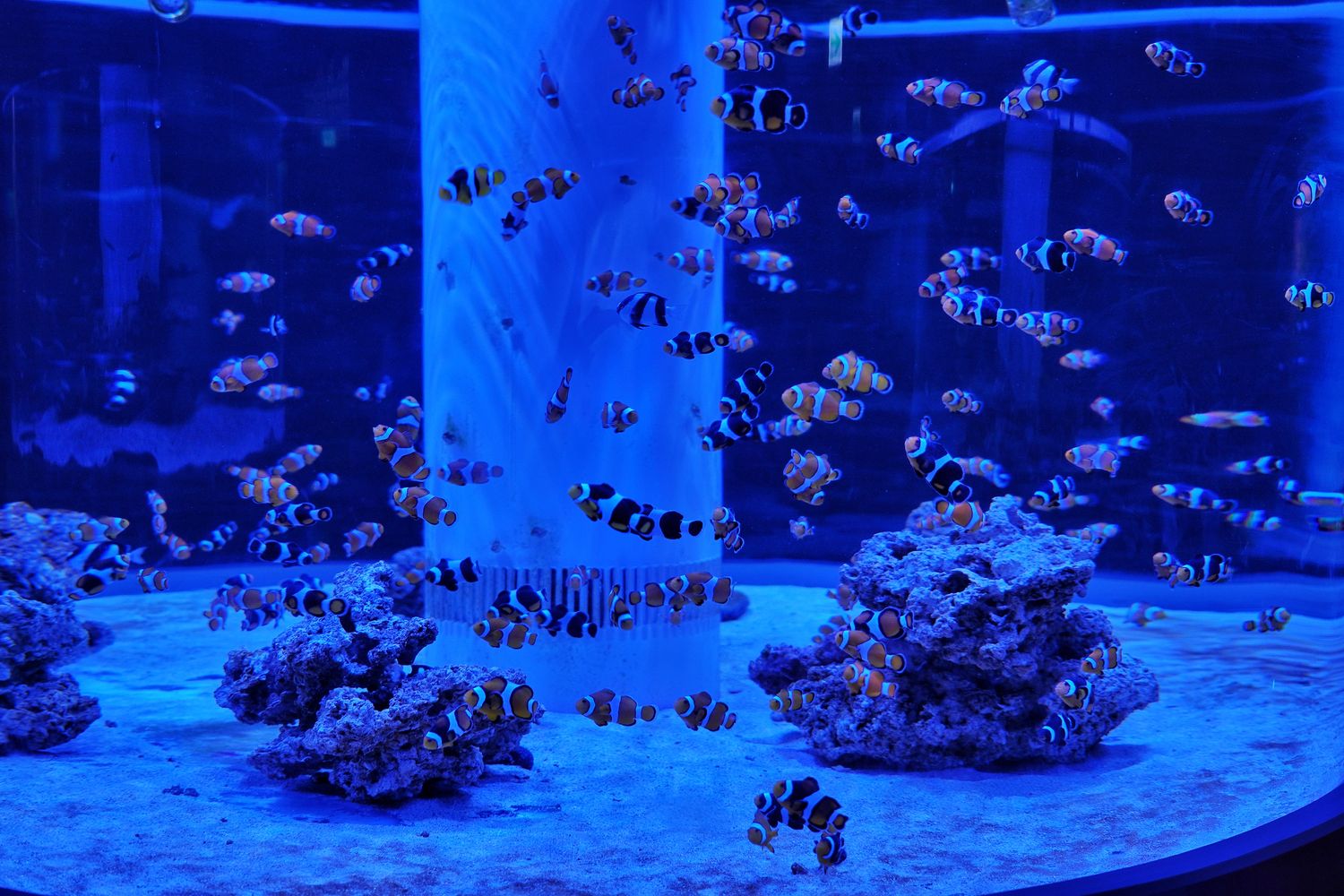 【基隆潮境智能海洋館】北部最強虛實整合實境水族館，四大展區搭配 5 G沉浸式體驗超好玩! @混血珊莎的奇幻旅程