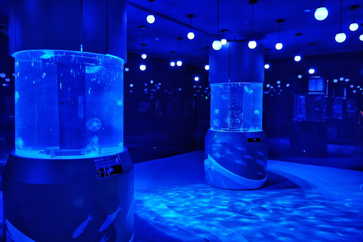 【基隆潮境智能海洋館】北部最強虛實整合實境水族館，四大展區搭配 5 G沉浸式體驗超好玩! @混血珊莎的奇幻旅程