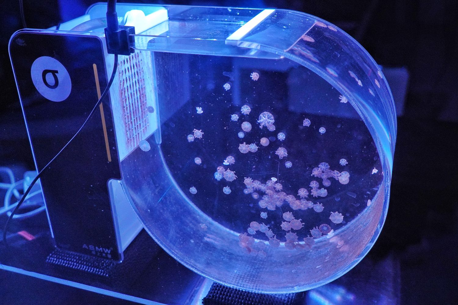 【基隆潮境智能海洋館】北部最強虛實整合實境水族館，四大展區搭配 5 G沉浸式體驗超好玩! @混血珊莎的奇幻旅程