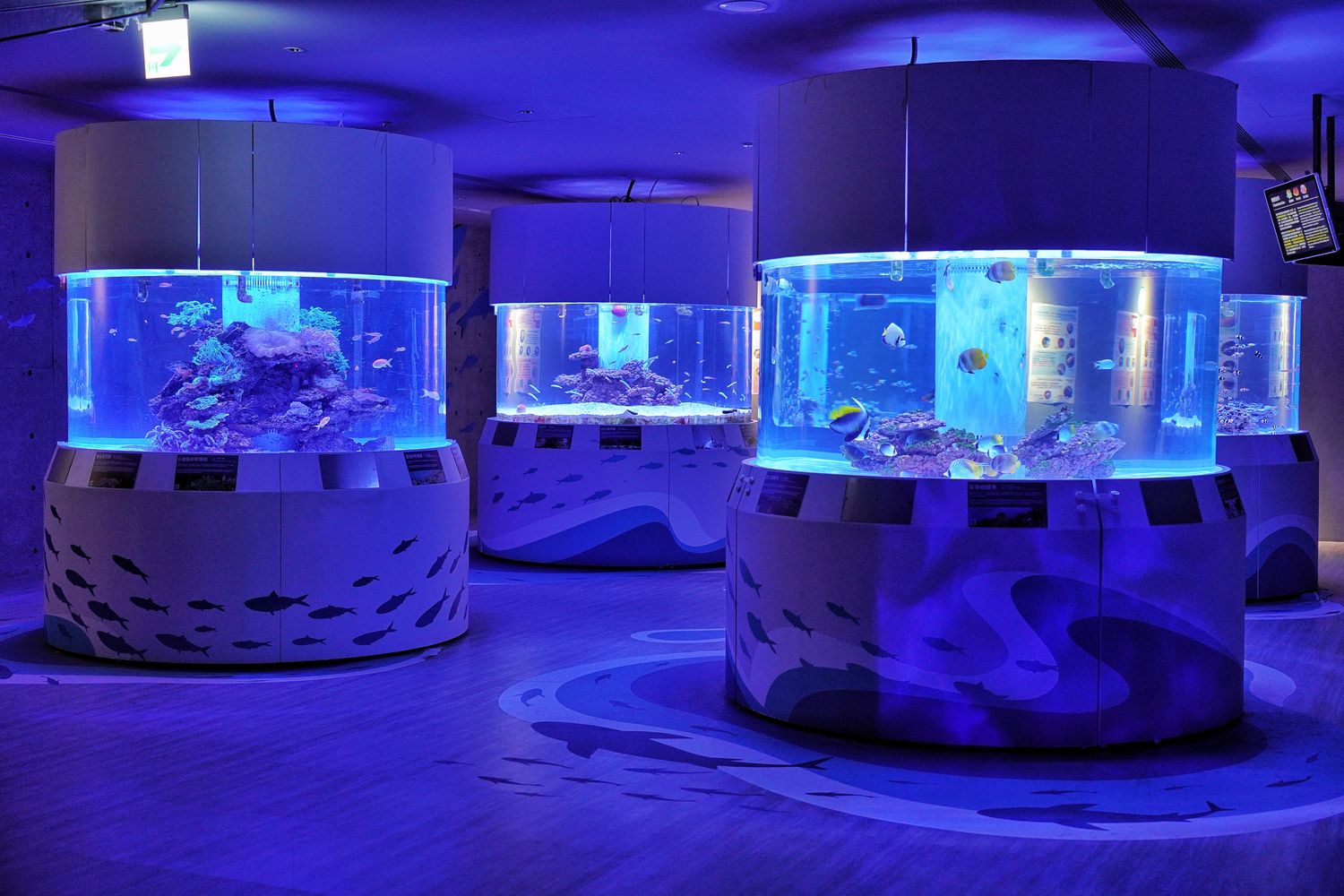 【基隆潮境智能海洋館】北部最強虛實整合實境水族館，四大展區搭配 5 G沉浸式體驗超好玩! @混血珊莎的奇幻旅程