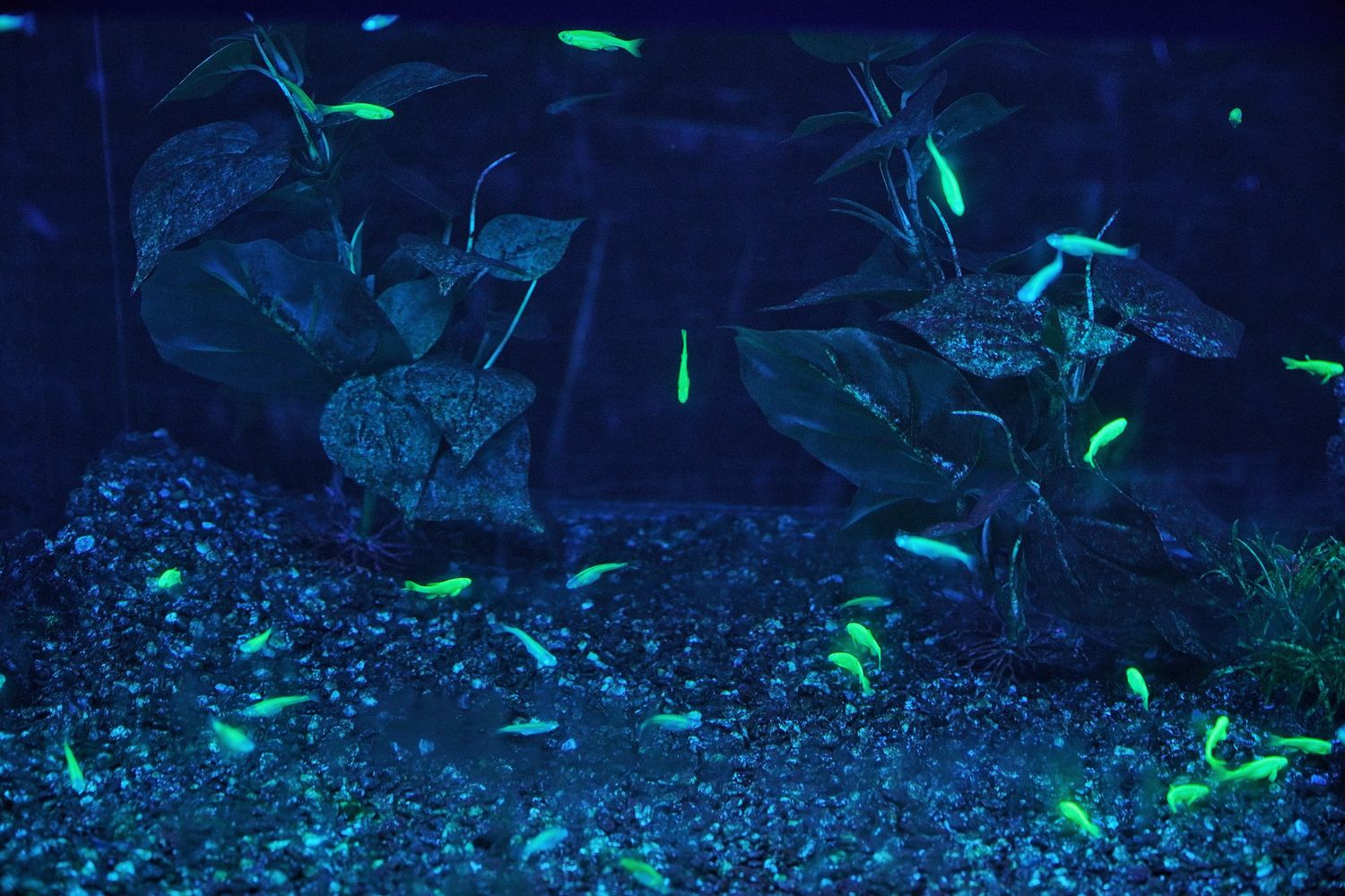 【基隆潮境智能海洋館】北部最強虛實整合實境水族館，四大展區搭配 5 G沉浸式體驗超好玩! @混血珊莎的奇幻旅程