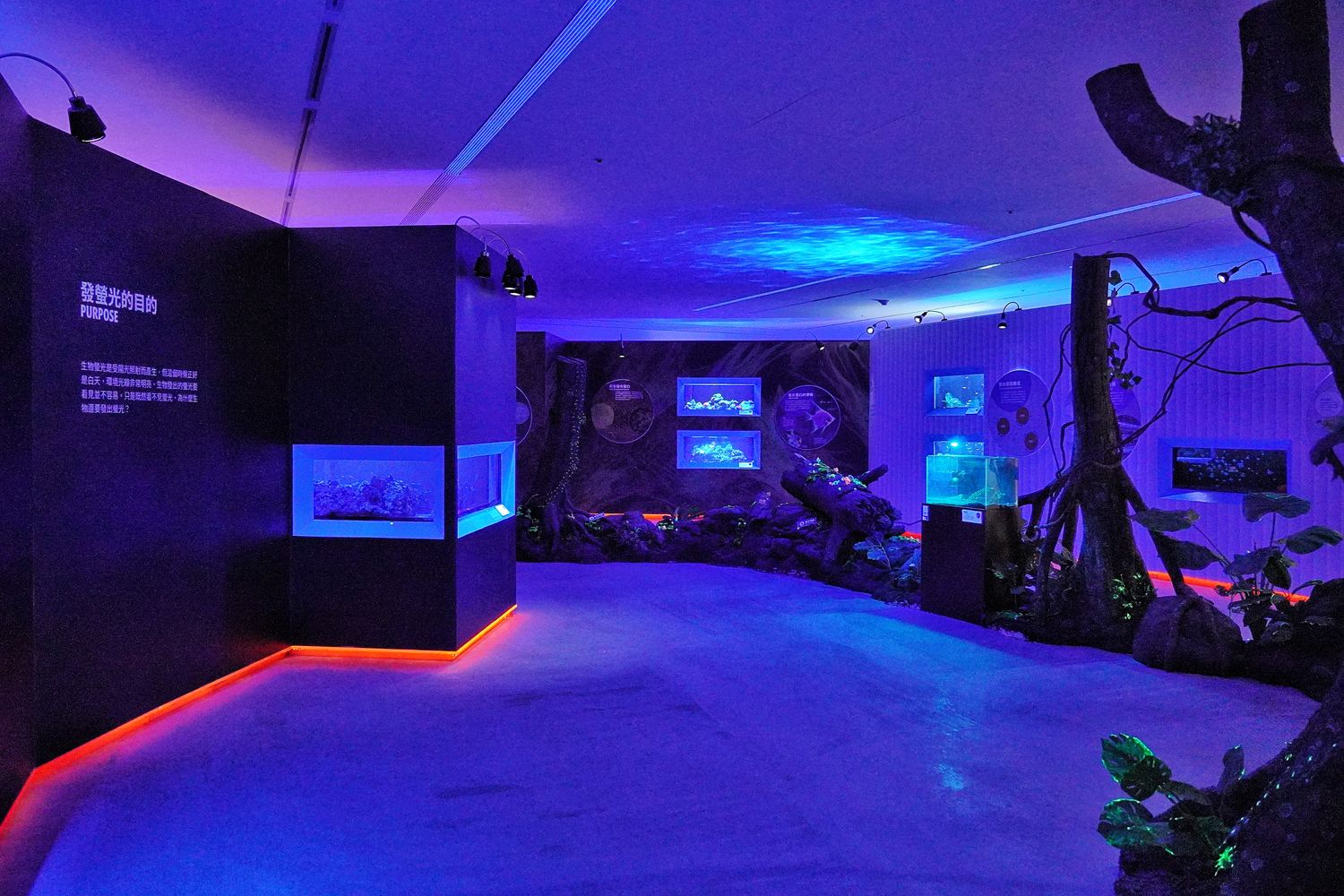 【基隆潮境智能海洋館】北部最強虛實整合實境水族館，四大展區搭配 5 G沉浸式體驗超好玩! @混血珊莎的奇幻旅程