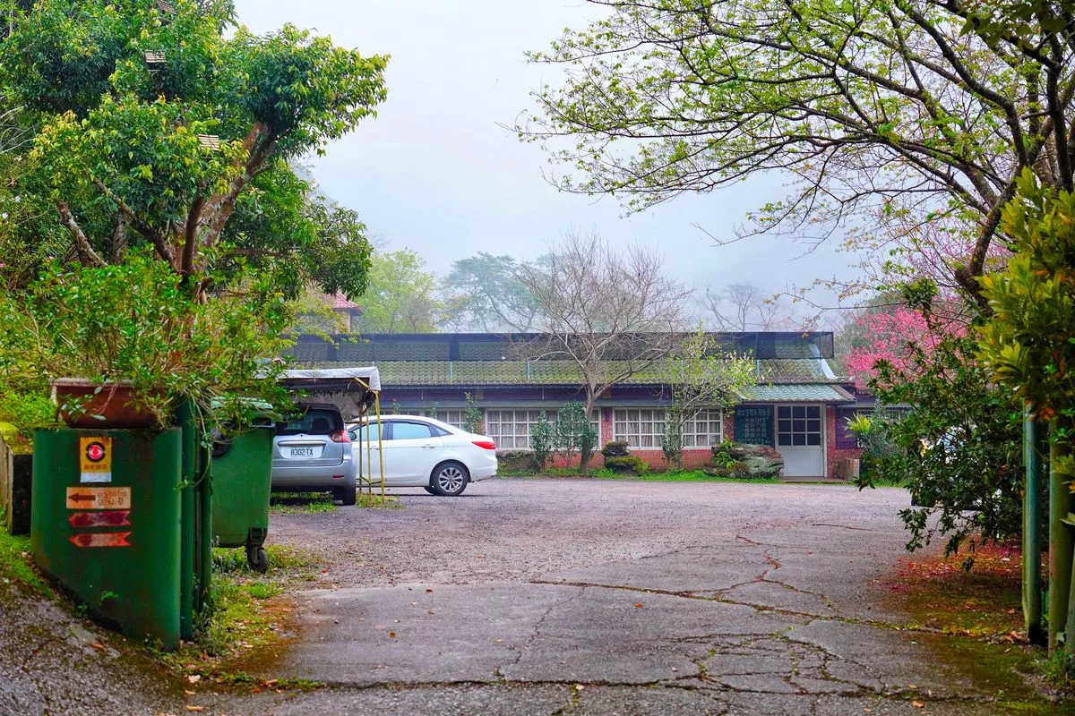 【獅潭仙草】星仙草景觀餐廳，獅潭秘境賞櫻花吃仙草冰! @混血珊莎的奇幻旅程