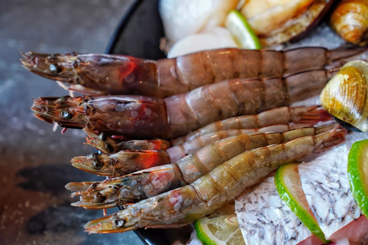 【西屯火鍋】森饗鍋物senn shabu台中漢口館，唯美森林系火鍋，必吃招牌胡椒豬肚湯! @混血珊莎的奇幻旅程