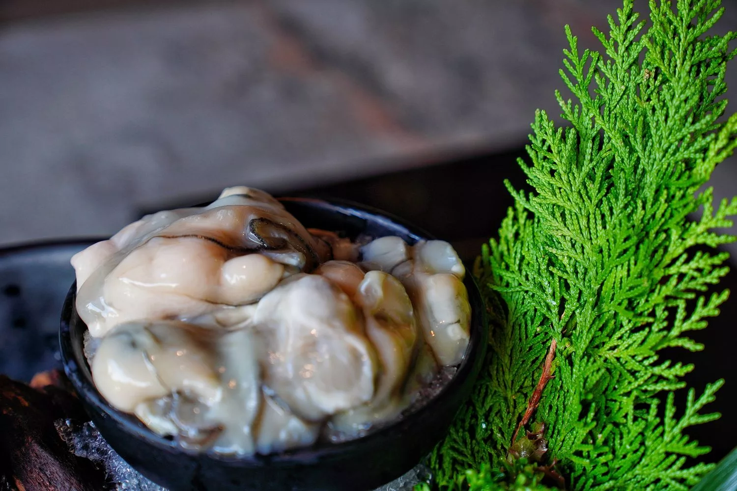 【西屯火鍋】森饗鍋物senn shabu台中漢口館，唯美森林系火鍋，必吃招牌胡椒豬肚湯! @混血珊莎的奇幻旅程