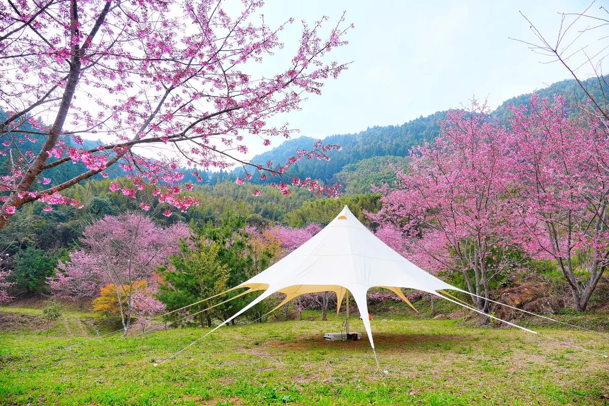 蟬說霧語｜五峰新竹懶人露營，夢幻櫻花林一泊二食，在地深度旅遊! @混血珊莎的奇幻旅程