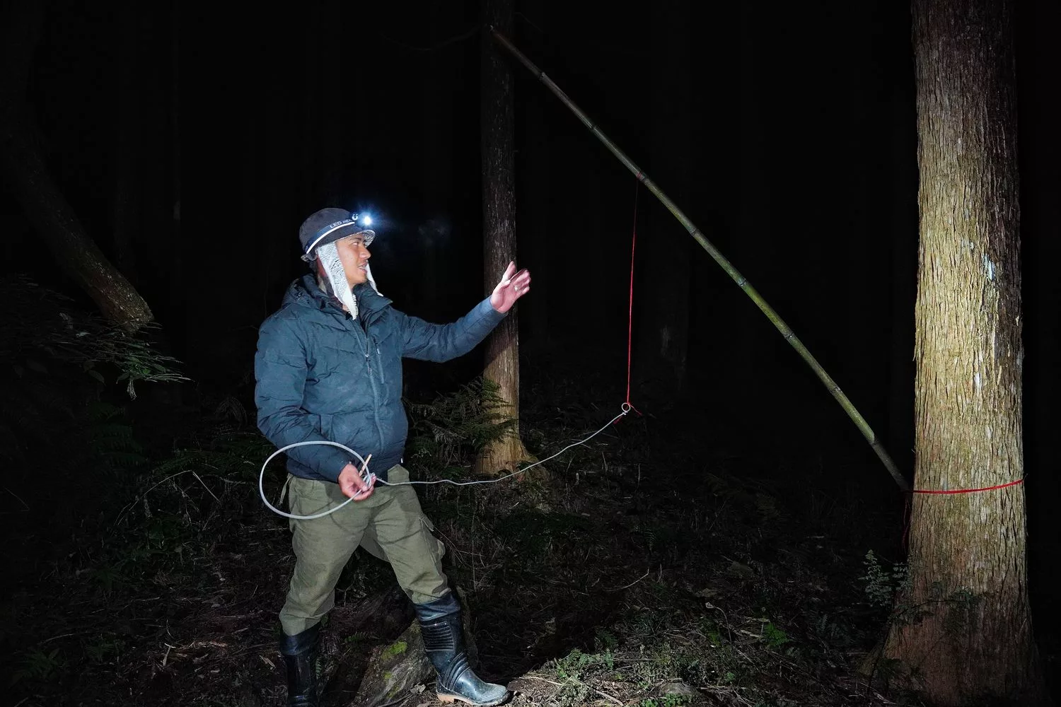 蟬說霧語｜五峰新竹懶人露營，夢幻櫻花林一泊二食，在地深度旅遊! @混血珊莎的奇幻旅程