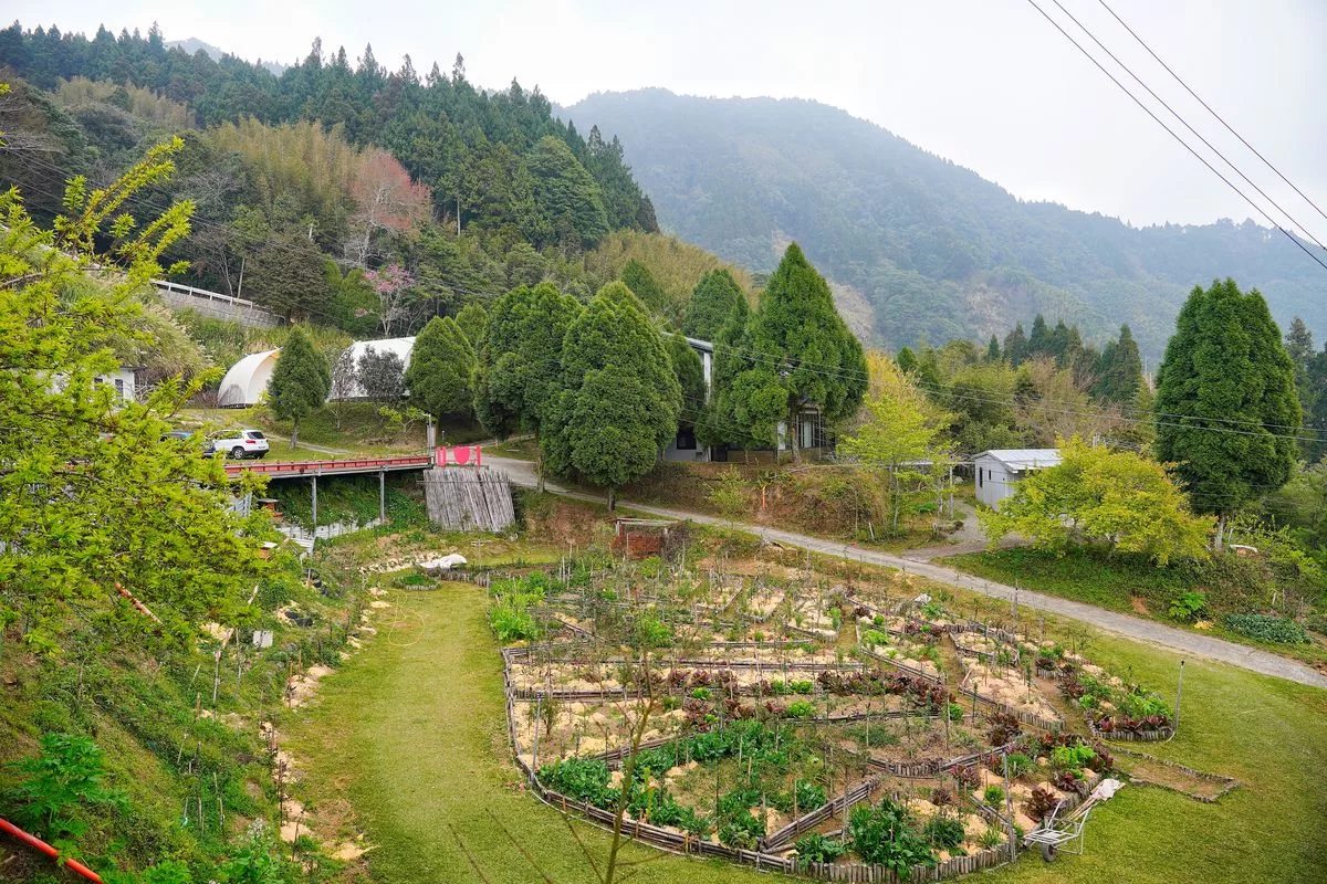 蟬說霧語｜五峰新竹懶人露營，夢幻櫻花林一泊二食，在地深度旅遊! @混血珊莎的奇幻旅程