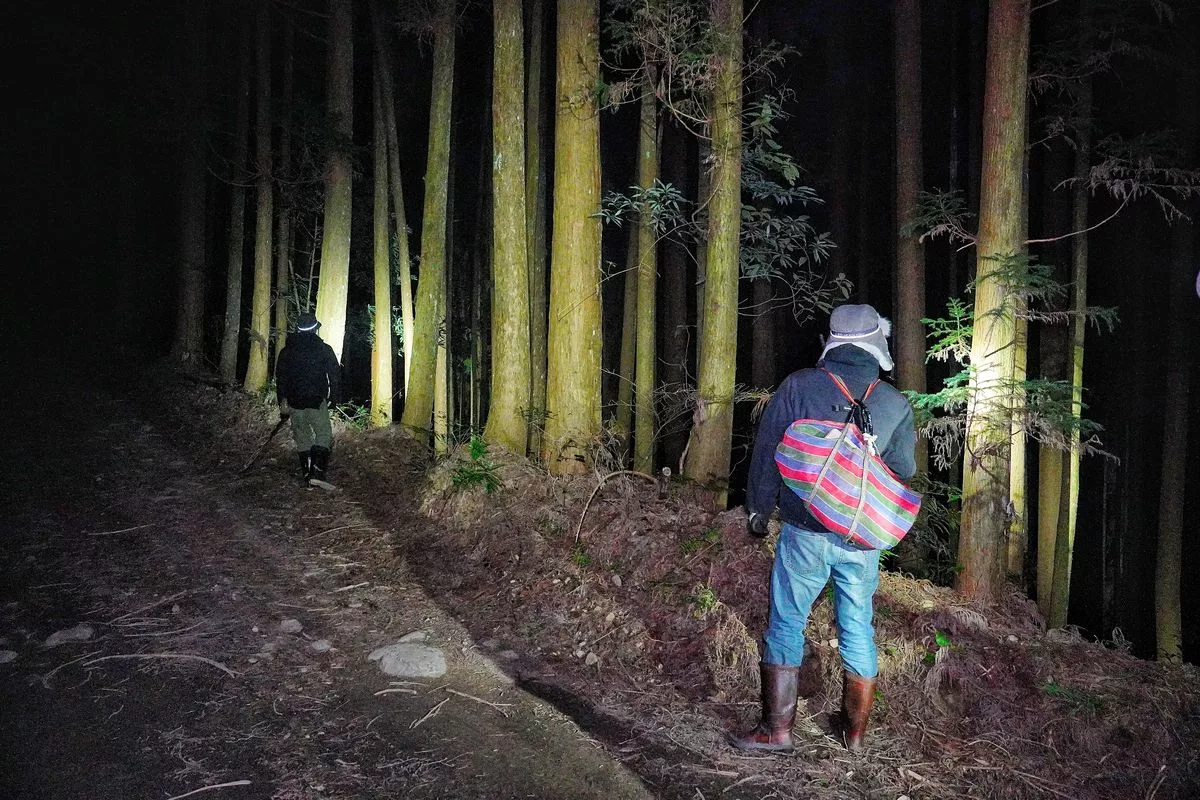 蟬說霧語｜五峰新竹懶人露營，夢幻櫻花林一泊二食，在地深度旅遊! @混血珊莎的奇幻旅程