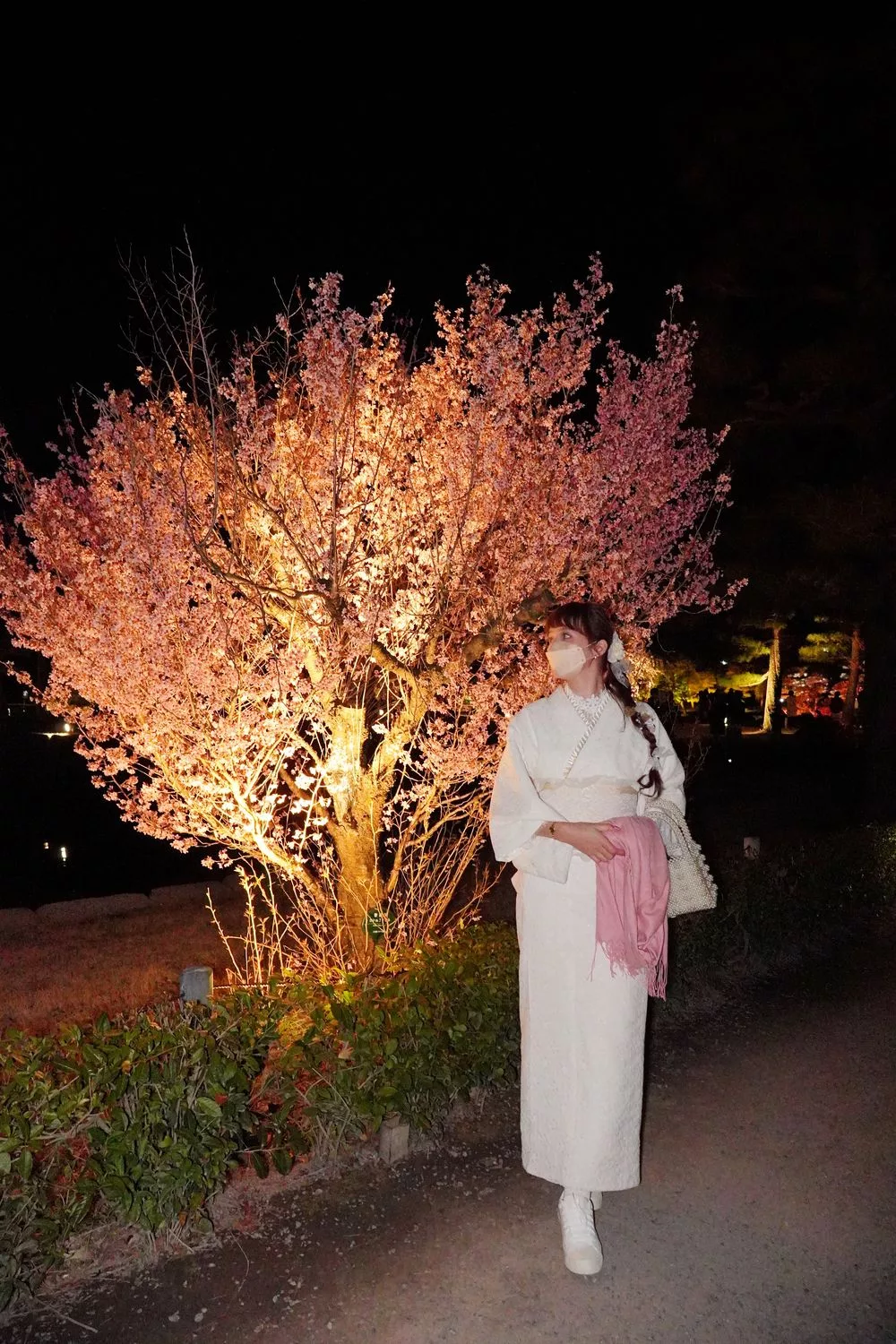 【世界遺産二條城】NAKED meets二条城 櫻花祭 2025光雕秀! @混血珊莎的奇幻旅程
