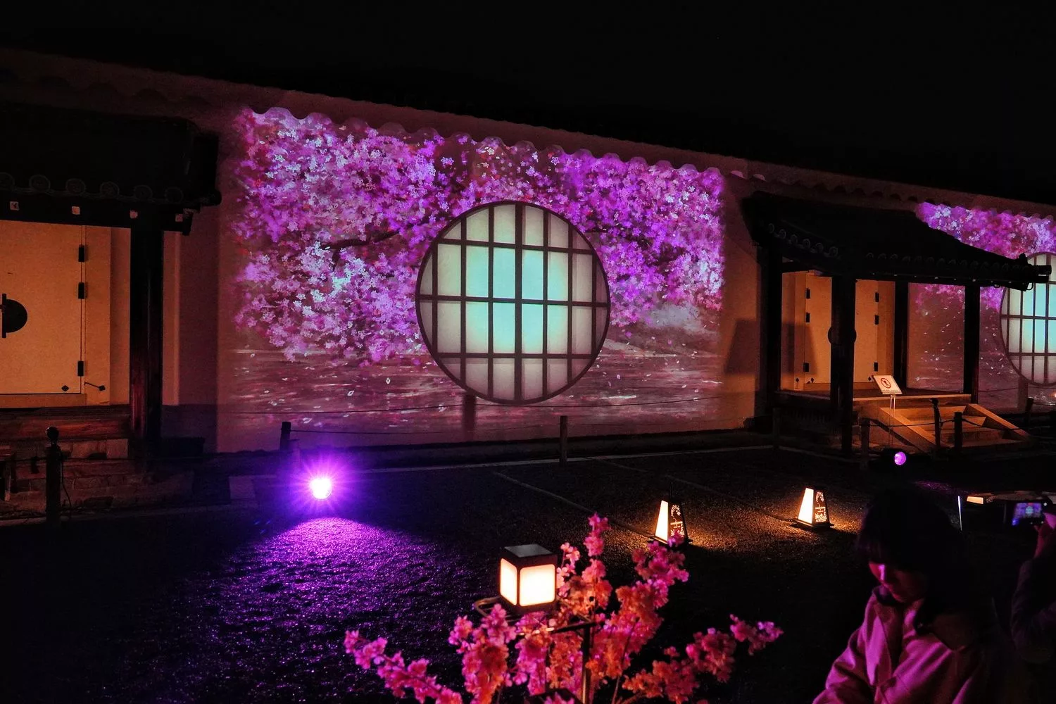 【世界遺産二條城】NAKED meets二条城 櫻花祭 2025光雕秀! @混血珊莎的奇幻旅程