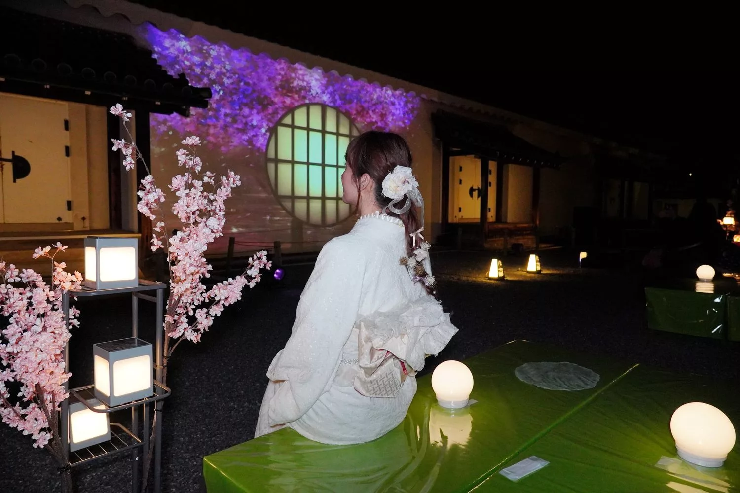 【世界遺産二條城】NAKED meets二条城 櫻花祭 2025光雕秀! @混血珊莎的奇幻旅程
