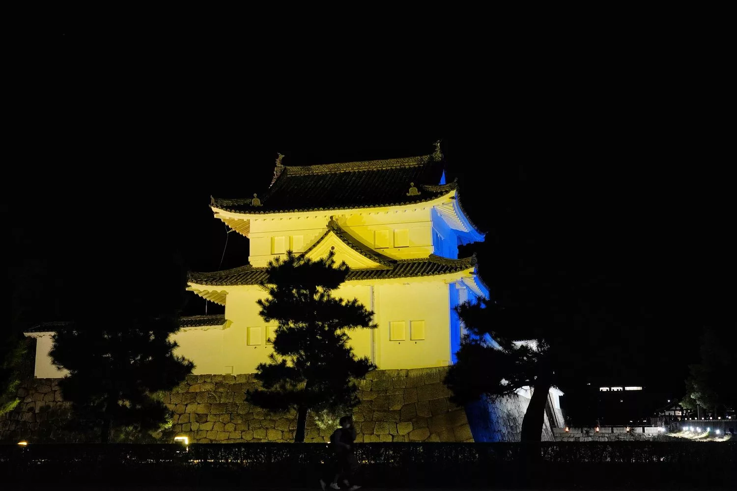 【世界遺産二條城】NAKED meets二条城 櫻花祭 2025光雕秀! @混血珊莎的奇幻旅程