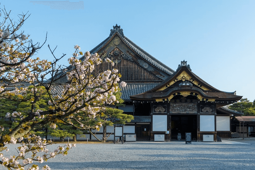 【世界遺産二條城】NAKED meets二条城 櫻花祭 2025光雕秀! @混血珊莎的奇幻旅程