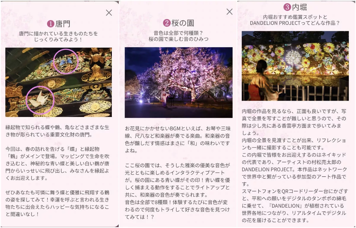 【世界遺産二條城】NAKED meets二条城 櫻花祭 2025光雕秀! @混血珊莎的奇幻旅程
