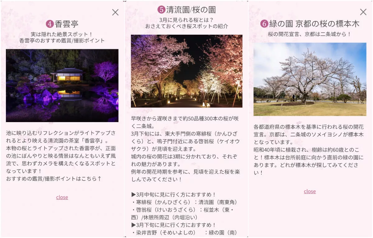 【世界遺産二條城】NAKED meets二条城 櫻花祭 2025光雕秀! @混血珊莎的奇幻旅程