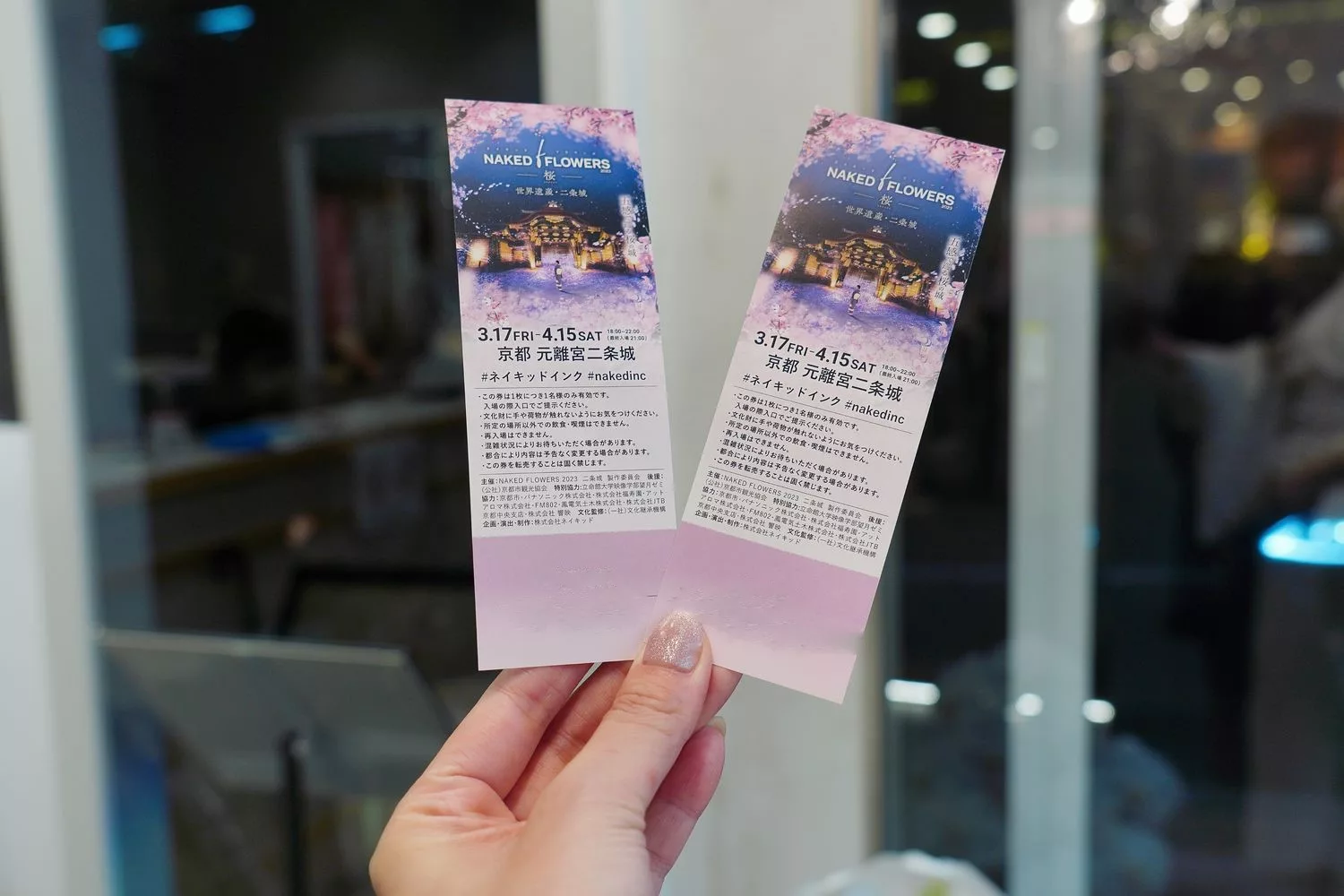 【世界遺産二條城】NAKED meets二条城 櫻花祭 2025光雕秀! @混血珊莎的奇幻旅程