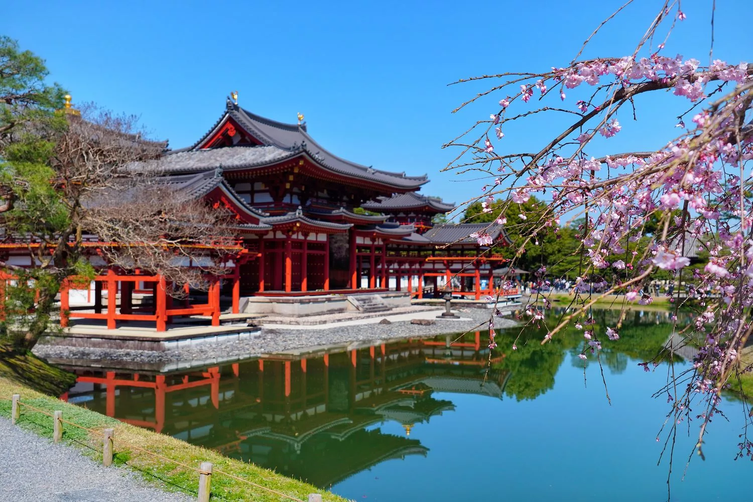 【 2025大阪京都櫻花】必拍大阪京都賞櫻熱門景點，浪漫春日的必訪之地！ @混血珊莎的奇幻旅程