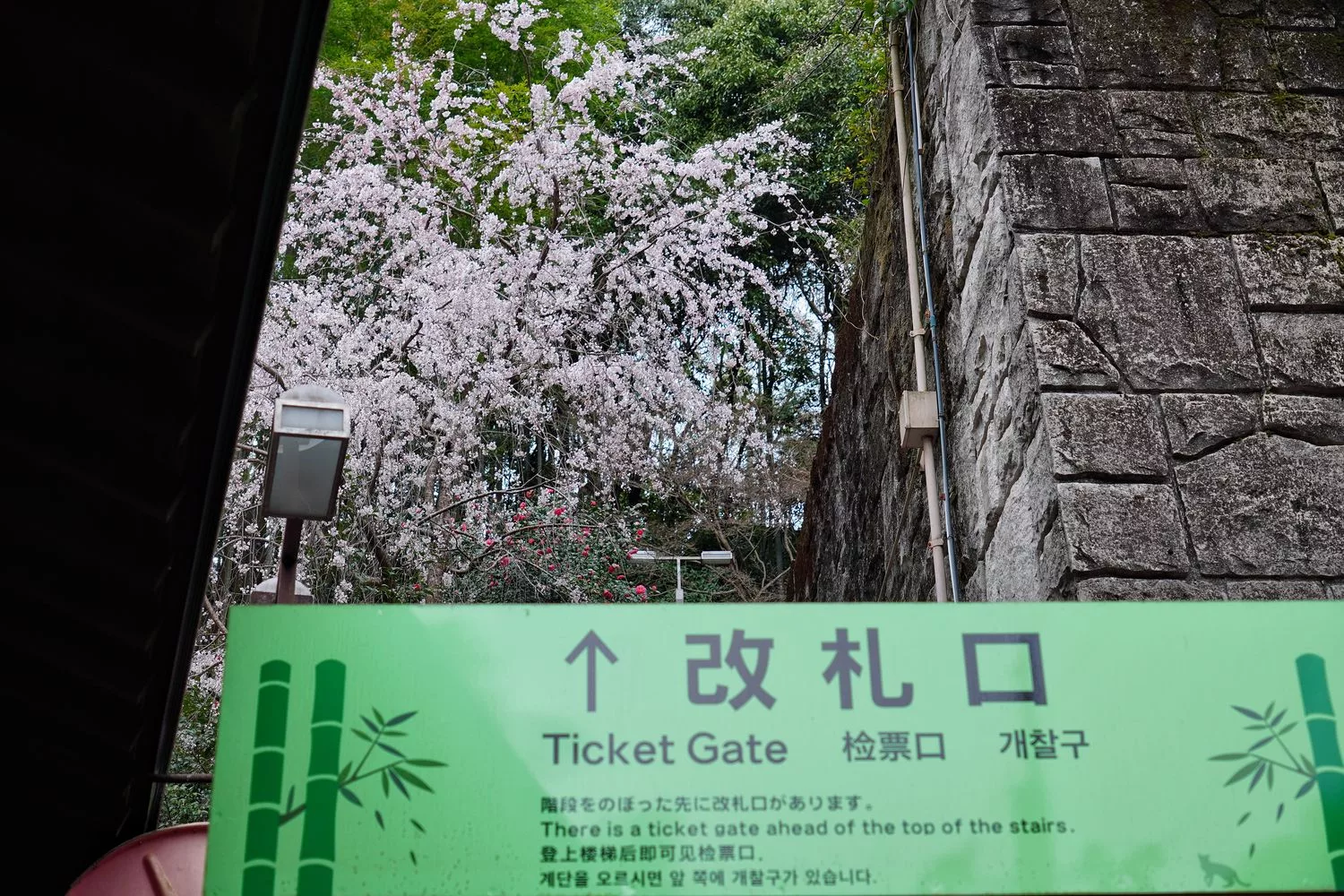 【 2025大阪京都櫻花】必拍大阪京都賞櫻熱門景點，浪漫春日的必訪之地！ @混血珊莎的奇幻旅程