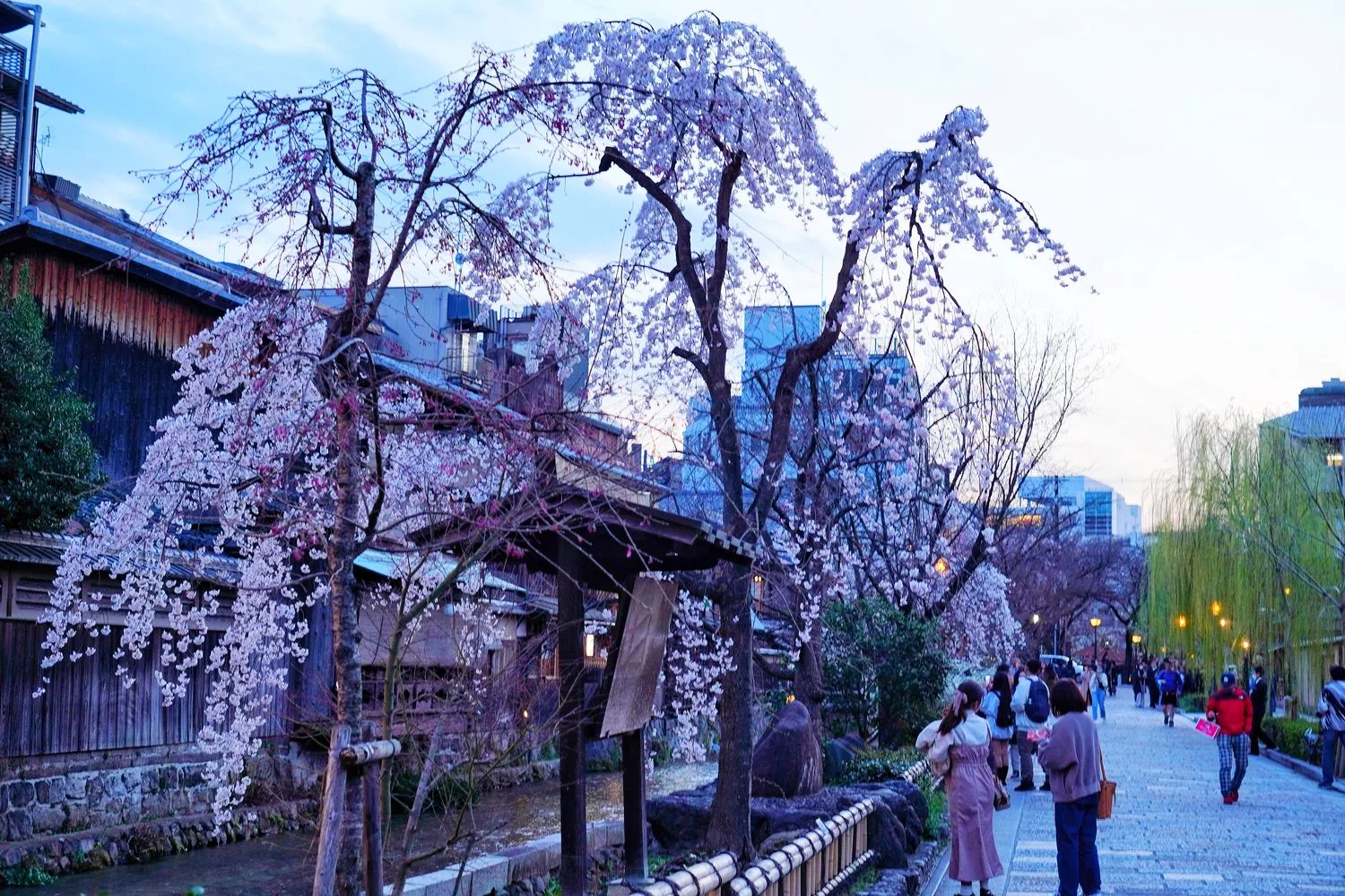【 2025大阪京都櫻花】必拍大阪京都賞櫻熱門景點，浪漫春日的必訪之地！ @混血珊莎的奇幻旅程