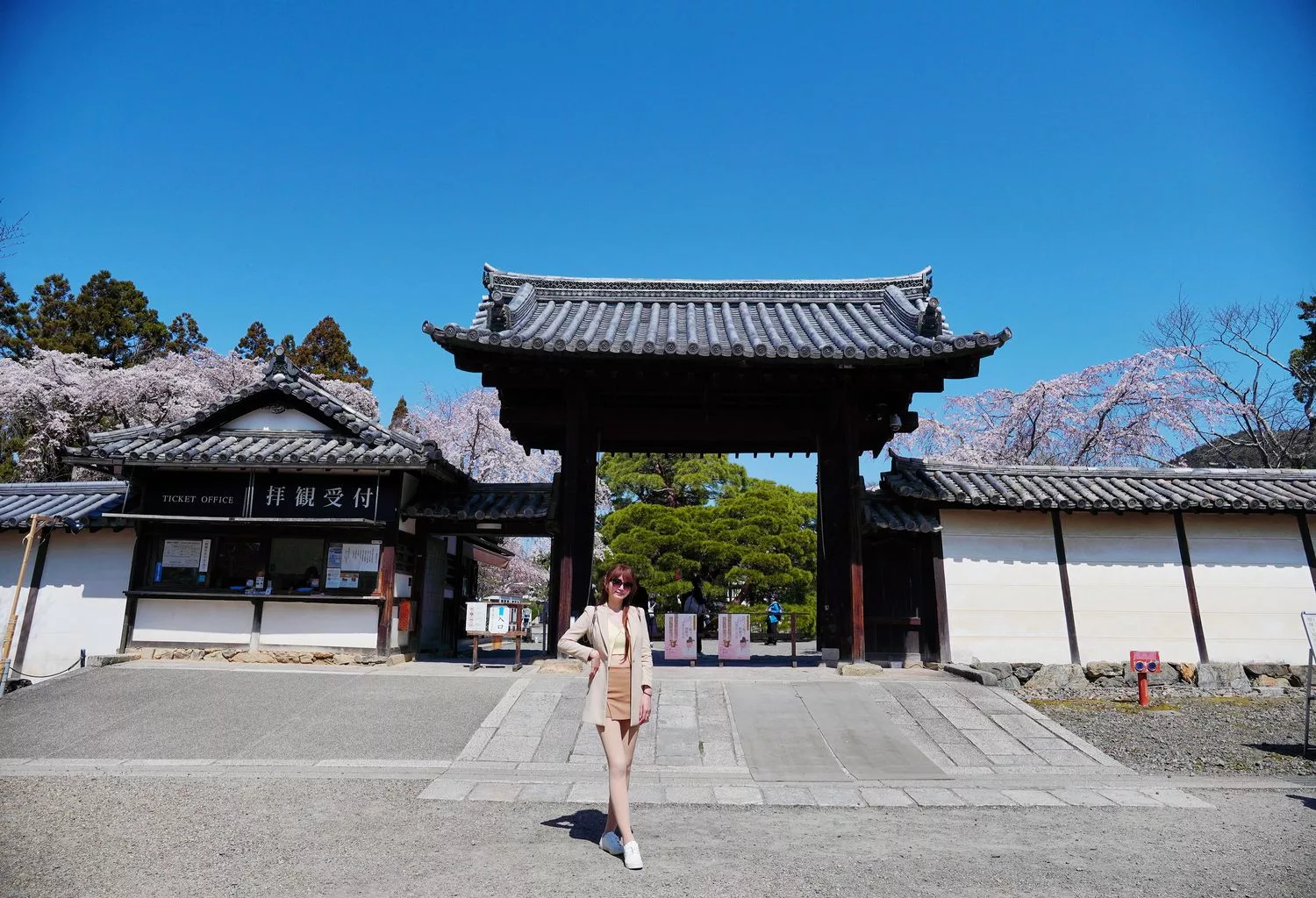 神燈旅遊｜日本最大中文司機服務，京都包車心得分享! @混血珊莎的奇幻旅程