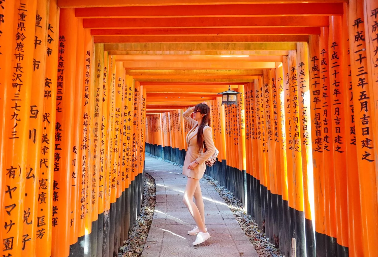 神燈旅遊｜日本最大中文司機服務，京都包車心得分享! @混血珊莎的奇幻旅程