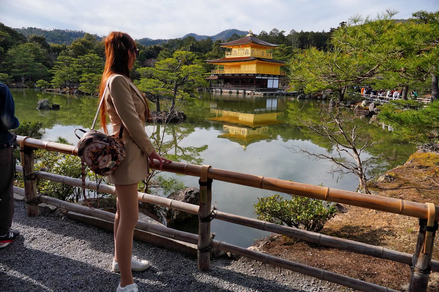 神燈旅遊｜日本最大中文司機服務，京都包車心得分享! @混血珊莎的奇幻旅程