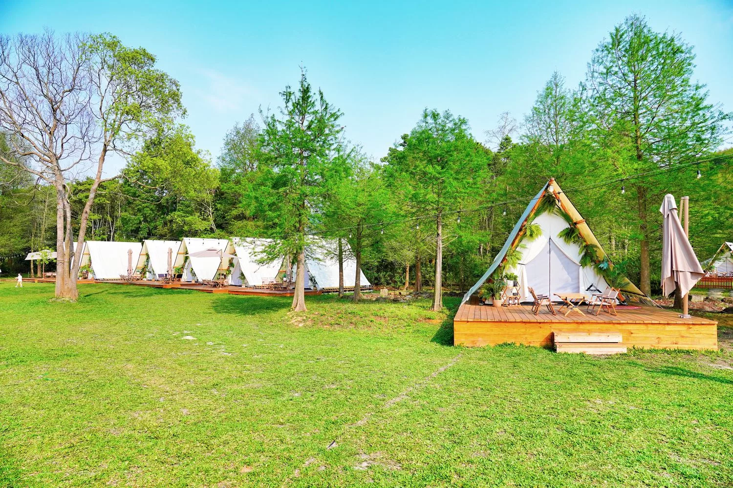 【叢林開始輕奢懶人露營glamping】苗栗懶人露營一泊四食網美泳池漂浮早餐，森林系帳篷IG打卡點! @混血珊莎的奇幻旅程