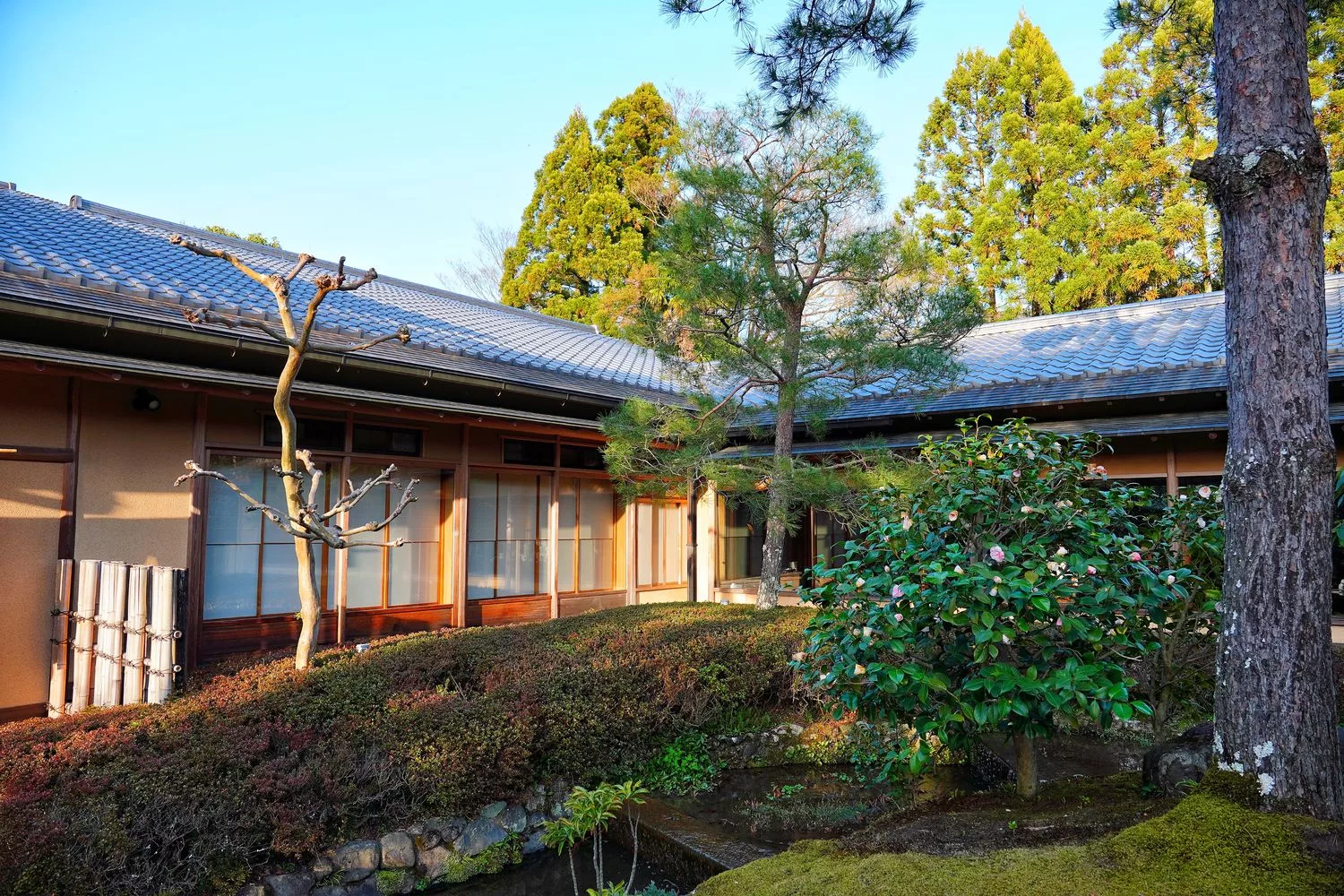 【京都湯豆腐】南禪寺順正,百年湯豆腐老店搭配超美千坪日式庭園! @混血珊莎的奇幻旅程 【京都湯豆腐】南禪寺順正,百年湯豆腐老店搭配超美千坪日式庭園! @混血珊莎的奇幻旅程