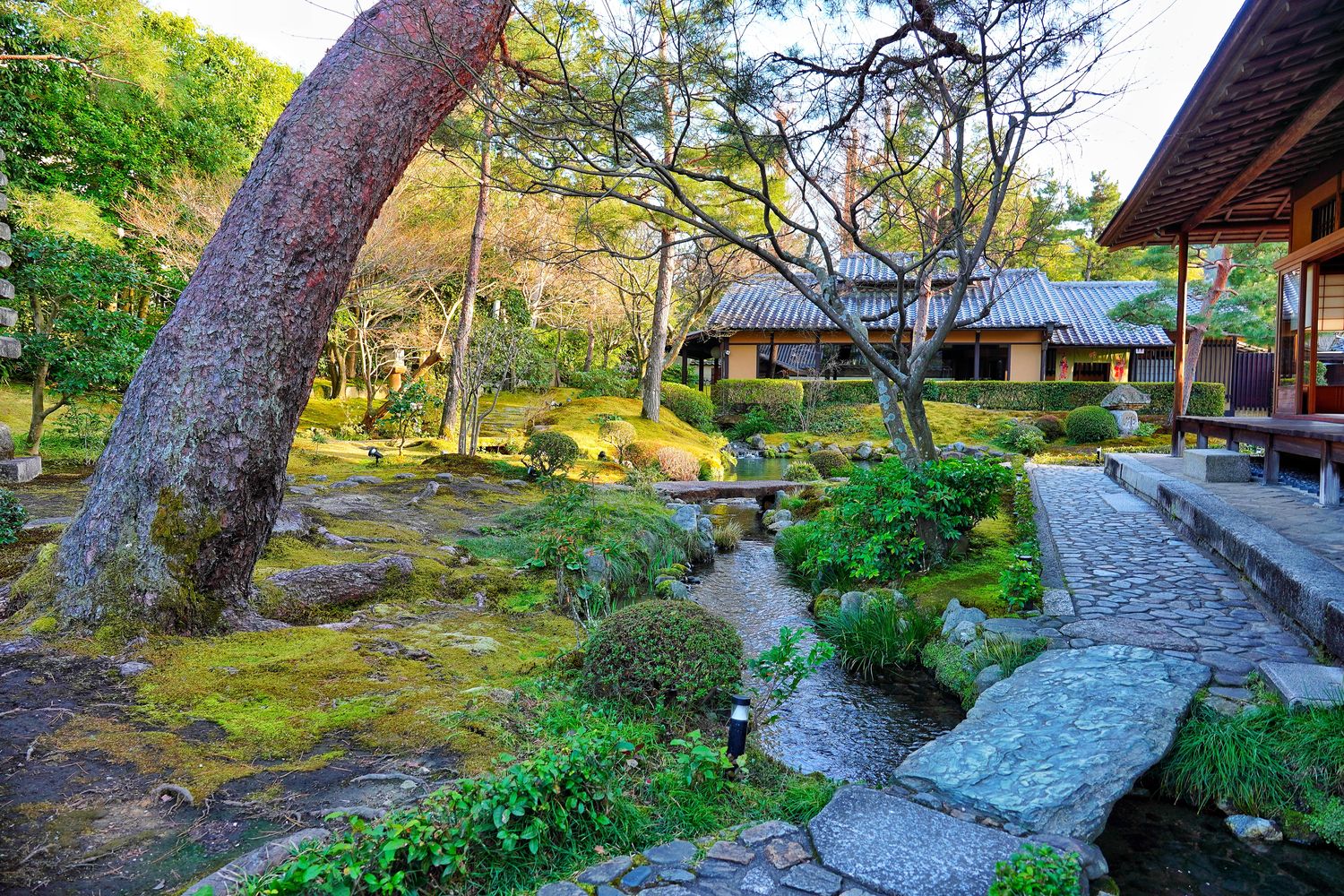 【京都湯豆腐】南禪寺順正,百年湯豆腐老店搭配超美千坪日式庭園! @混血珊莎的奇幻旅程 【京都湯豆腐】南禪寺順正,百年湯豆腐老店搭配超美千坪日式庭園! @混血珊莎的奇幻旅程