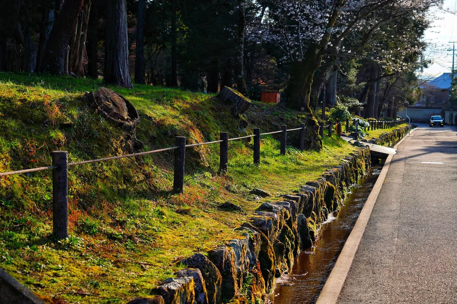 【京都湯豆腐】南禪寺順正,百年湯豆腐老店搭配超美千坪日式庭園! @混血珊莎的奇幻旅程 【京都湯豆腐】南禪寺順正,百年湯豆腐老店搭配超美千坪日式庭園! @混血珊莎的奇幻旅程