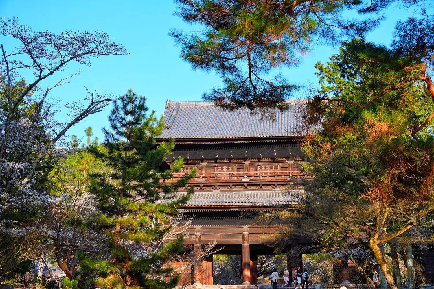 【京都湯豆腐】南禪寺順正,百年湯豆腐老店搭配超美千坪日式庭園! @混血珊莎的奇幻旅程 【京都湯豆腐】南禪寺順正,百年湯豆腐老店搭配超美千坪日式庭園! @混血珊莎的奇幻旅程