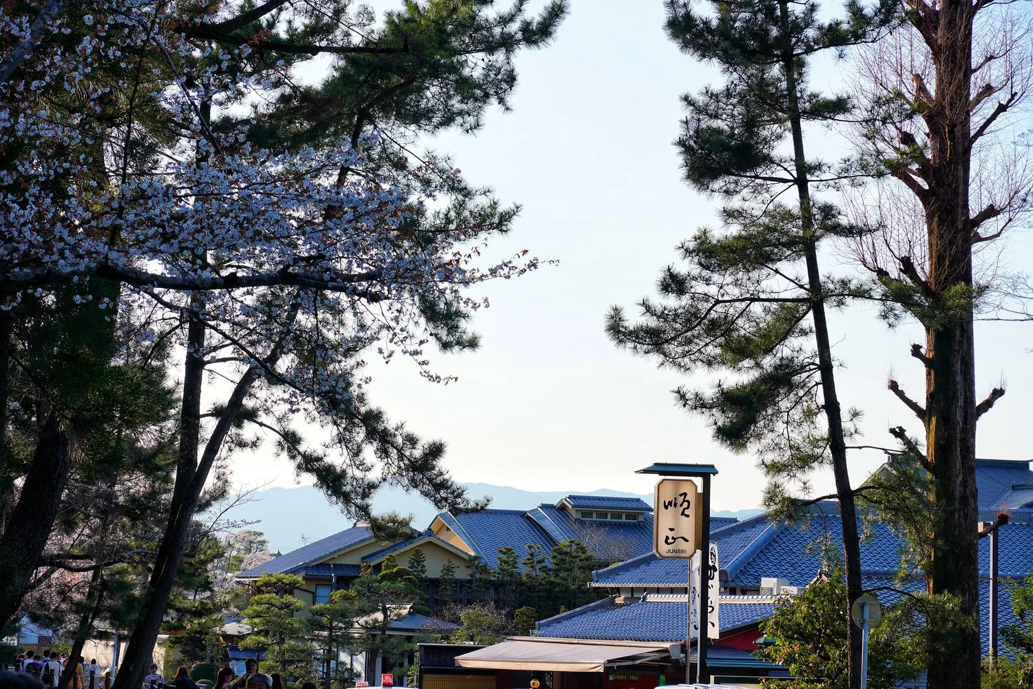 【京都湯豆腐】南禪寺順正,百年湯豆腐老店搭配超美千坪日式庭園! @混血珊莎的奇幻旅程 【京都湯豆腐】南禪寺順正,百年湯豆腐老店搭配超美千坪日式庭園! @混血珊莎的奇幻旅程