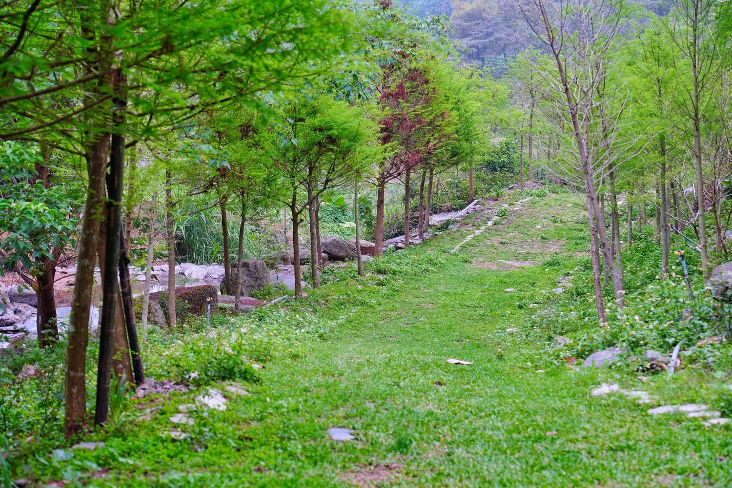 【南投豪華露營】相逢部落一泊四食,晚餐燒烤加龍蝦火鍋,調酒飲品無限暢飲,套房級帳篷泡澡超享受! @混血珊莎的奇幻旅程 【南投豪華露營】相逢部落一泊四食,晚餐燒烤加龍蝦火鍋,調酒飲品無限暢飲,套房級帳篷泡澡超享受! @混血珊莎的奇幻旅程