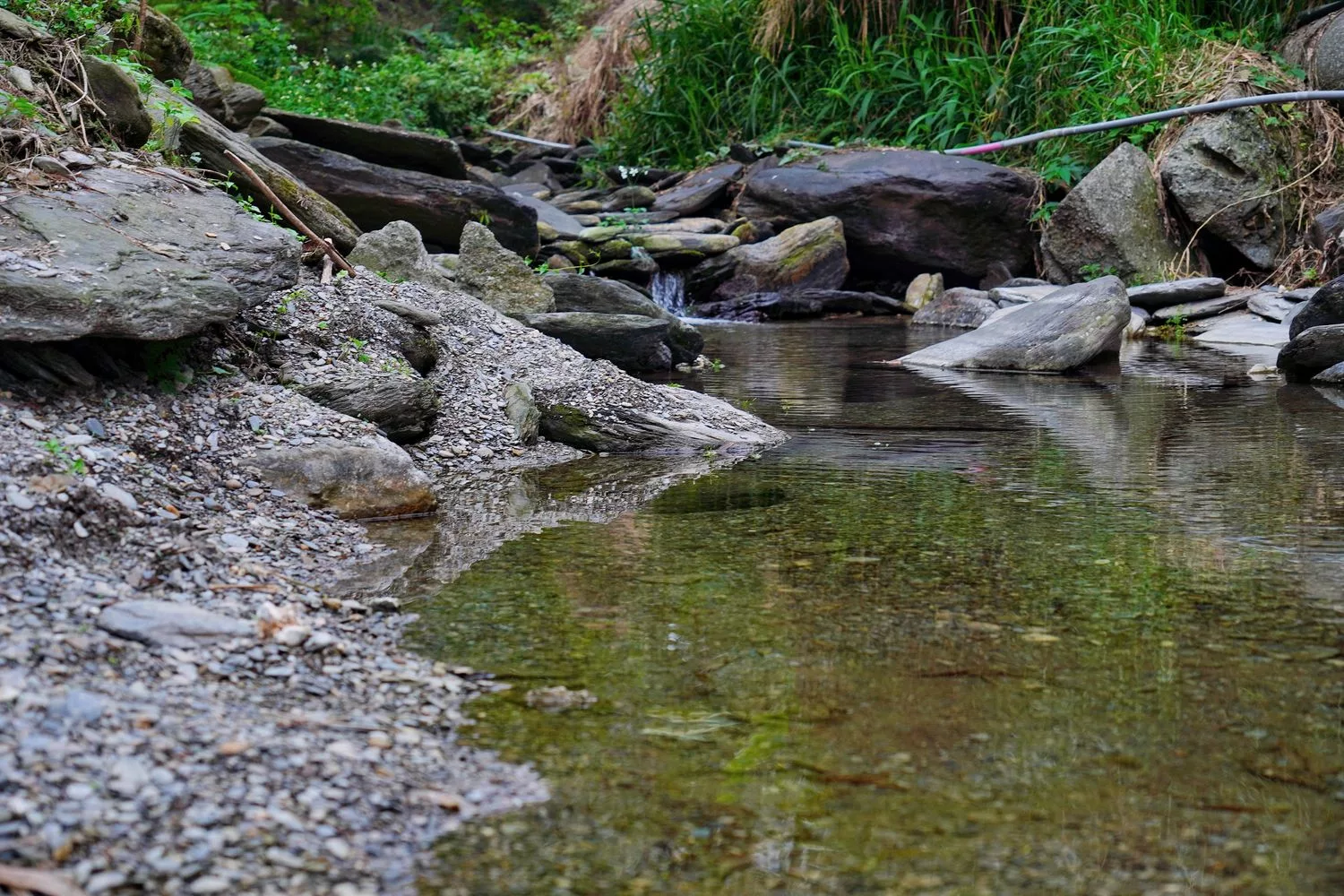 【南投豪華露營】相逢部落一泊四食,晚餐燒烤加龍蝦火鍋,調酒飲品無限暢飲,套房級帳篷泡澡超享受! @混血珊莎的奇幻旅程 【南投豪華露營】相逢部落一泊四食,晚餐燒烤加龍蝦火鍋,調酒飲品無限暢飲,套房級帳篷泡澡超享受! @混血珊莎的奇幻旅程