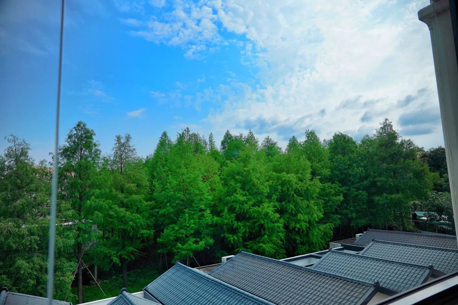 【南投市汽車旅館推薦】舒馨精品旅館,質感房型有KTV/露天浴池/豪華浴缸,適合情侶休息/親子住宿/商務出差! @混血珊莎的奇幻旅程 【南投市汽車旅館推薦】舒馨精品旅館,質感房型有KTV/露天浴池/豪華浴缸,適合情侶休息/親子住宿/商務出差! @混血珊莎的奇幻旅程